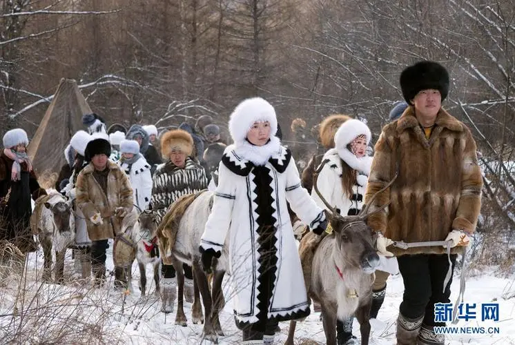 雪(xuě)原馴鹿之旅